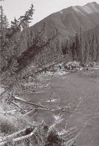 Canoeing Physical Hazards